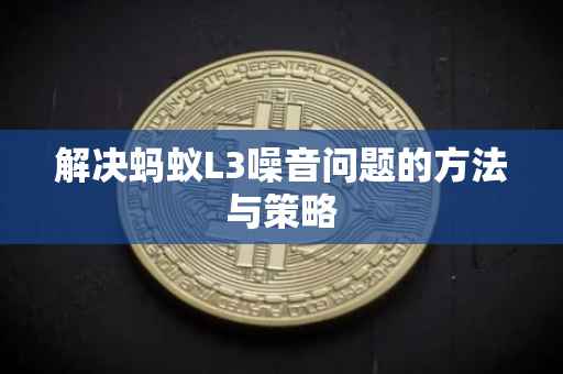 解决蚂蚁L3噪音问题的方法与策略