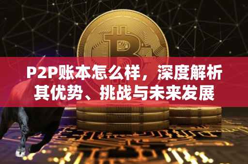 P2P账本怎么样，深度解析其优势、挑战与未来发展