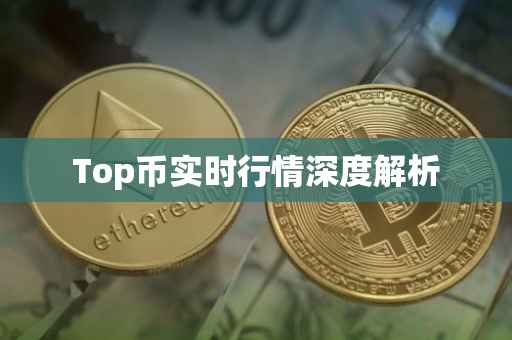 Top币实时行情深度解析
