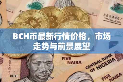 BCH币最新行情价格，市场走势与前景展望