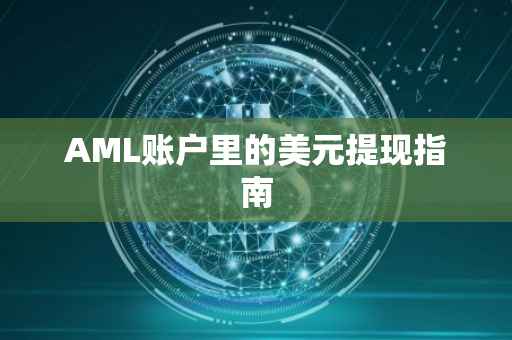 AML账户里的美元提现指南