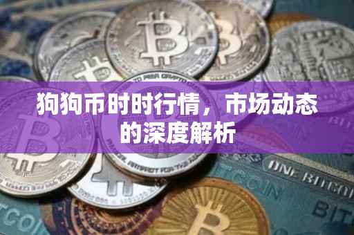 狗狗币时时行情，市场动态的深度解析