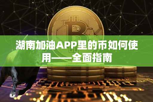 湖南加油APP里的币如何使用——全面指南