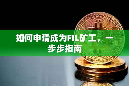 如何申请成为FIL矿工，一步步指南