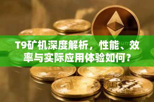T9矿机深度解析，性能、效率与实际应用体验如何？