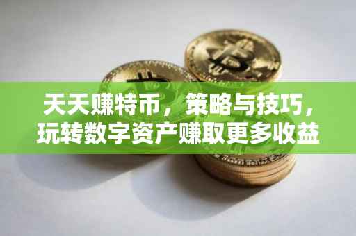 天天赚特币，策略与技巧，玩转数字资产赚取更多收益