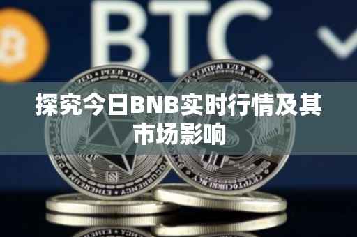 探究今日BNB实时行情及其市场影响