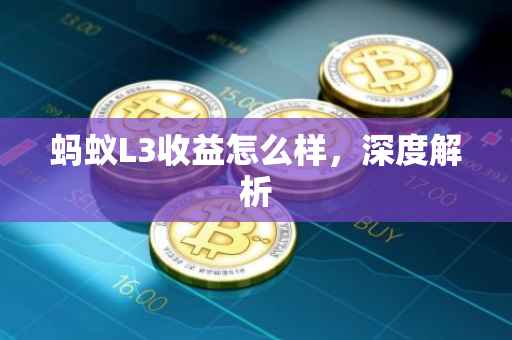 蚂蚁L3收益怎么样，深度解析