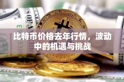 比特币价格去年行情，波动中的机遇与挑战