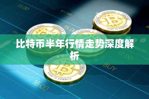 比特币半年行情走势深度解析