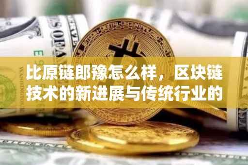 比原链郎豫怎么样，区块链技术的新进展与传统行业的对比观察