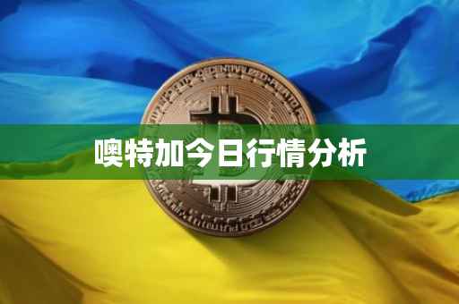 噢特加今日行情分析