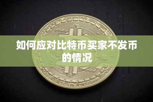 如何应对比特币买家不发币的情况
