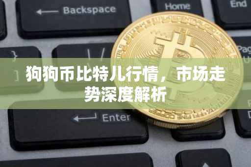 狗狗币比特儿行情，市场走势深度解析