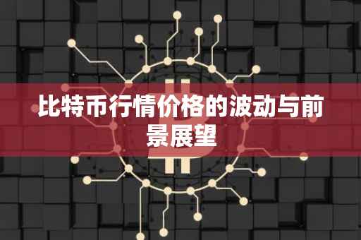 比特币行情价格的波动与前景展望
