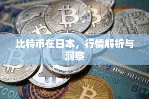 比特币在日本，行情解析与洞察