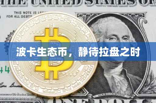 波卡生态币，静待拉盘之时