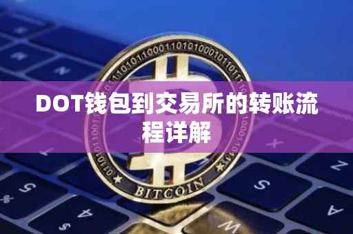 DOT钱包到交易所的转账流程详解