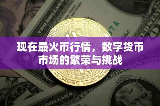 现在最火币行情，数字货币市场的繁荣与挑战