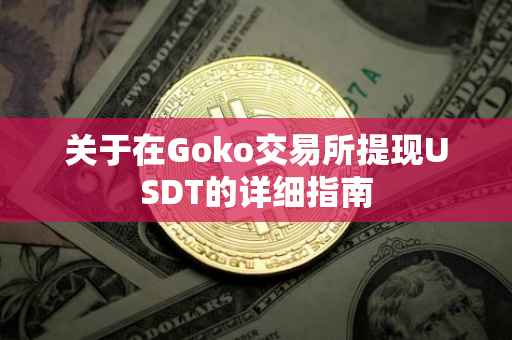 关于在Goko交易所提现USDT的详细指南
