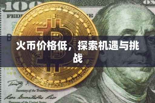 火币价格低，探索机遇与挑战