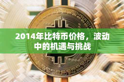2014年比特币价格，波动中的机遇与挑战