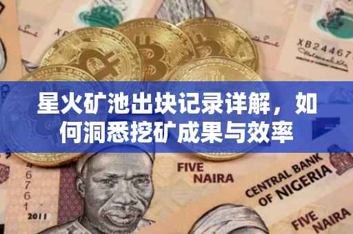 星火矿池出块记录详解，如何洞悉挖矿成果与效率