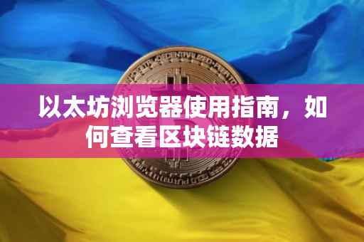 以太坊浏览器使用指南，如何查看区块链数据
