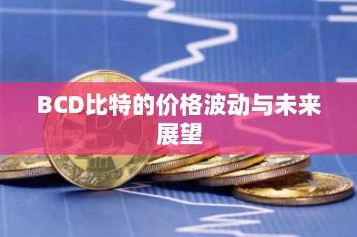 BCD比特的价格波动与未来展望