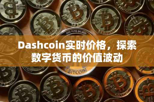 Dashcoin实时价格，探索数字货币的价值波动