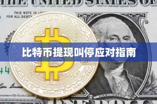 比特币提现叫停应对指南