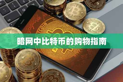 暗网中比特币的购物指南