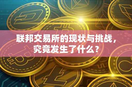 联邦交易所的现状与挑战，究竟发生了什么？