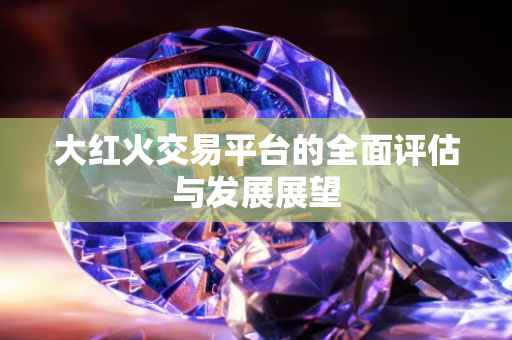 大红火交易平台的全面评估与发展展望