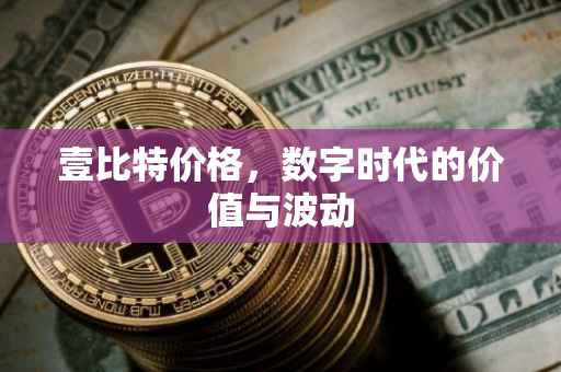 壹比特价格，数字时代的价值与波动