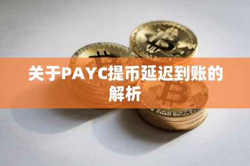 关于PAYC提币延迟到账的解析