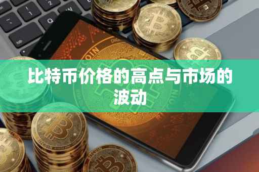 比特币价格的高点与市场的波动