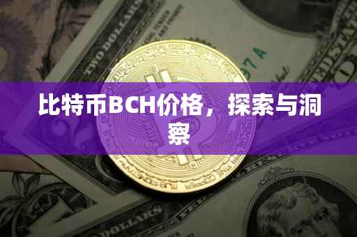 比特币BCH价格，探索与洞察