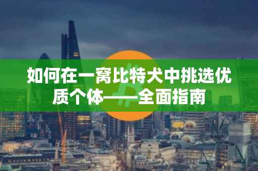 如何在一窝比特犬中挑选优质个体——全面指南