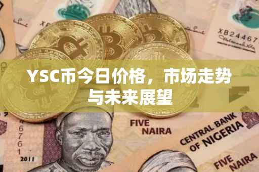 YSC币今日价格，市场走势与未来展望