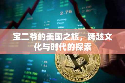 宝二爷的美国之旅，跨越文化与时代的探索