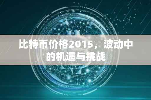 比特币价格2015，波动中的机遇与挑战