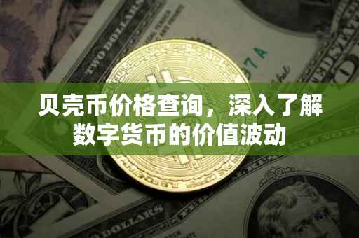 贝壳币价格查询，深入了解数字货币的价值波动