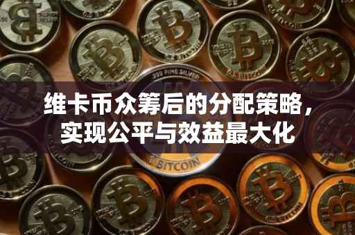 维卡币众筹后的分配策略，实现公平与效益最大化