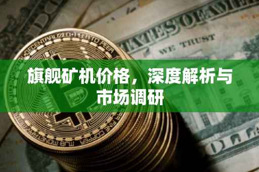 旗舰矿机价格，深度解析与市场调研