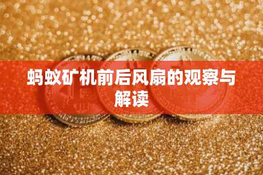 蚂蚁矿机前后风扇的观察与解读