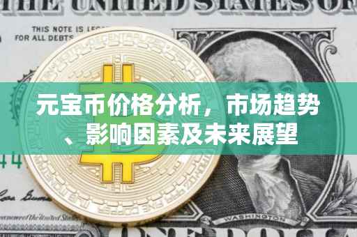 元宝币价格分析，市场趋势、影响因素及未来展望