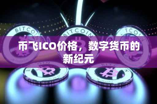币飞ICO价格，数字货币的新纪元
