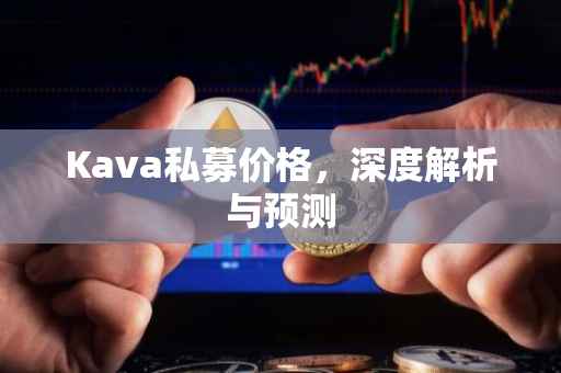Kava私募价格，深度解析与预测