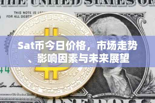 Sat币今日价格，市场走势、影响因素与未来展望